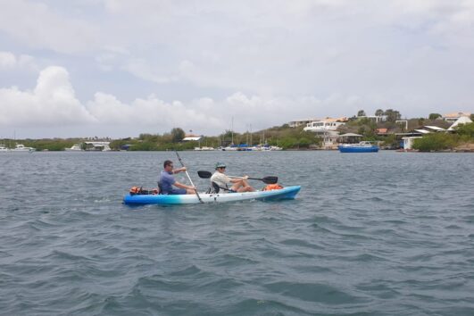 Tiki kayak